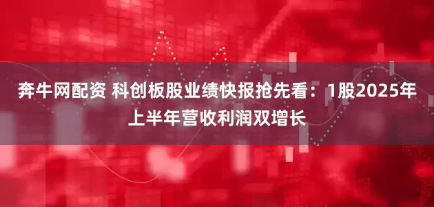 奔牛网配资 科创板股业绩快报抢先看：1股2025年上半年营收利润双增长