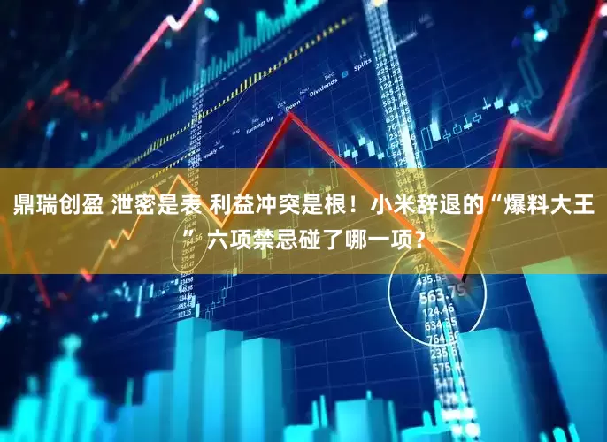 鼎瑞创盈 泄密是表 利益冲突是根！小米辞退的“爆料大王” 六项禁忌碰了哪一项？